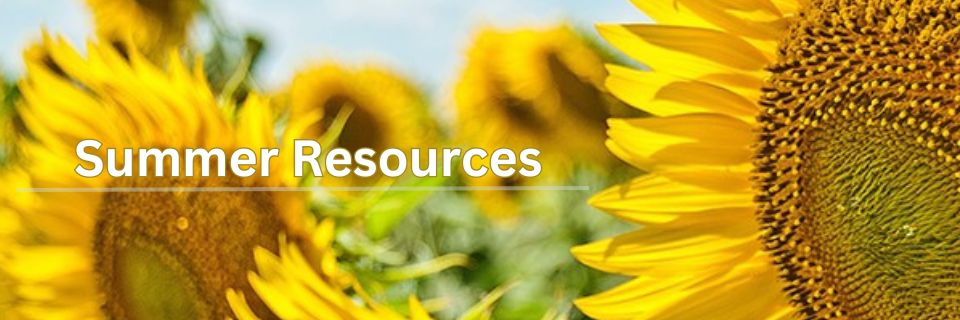 Summer Resources Graphic