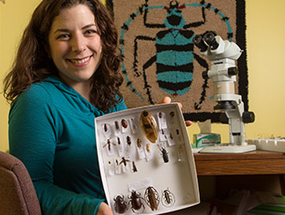 A professor holds up beetle specimens contained in a class shadowbox