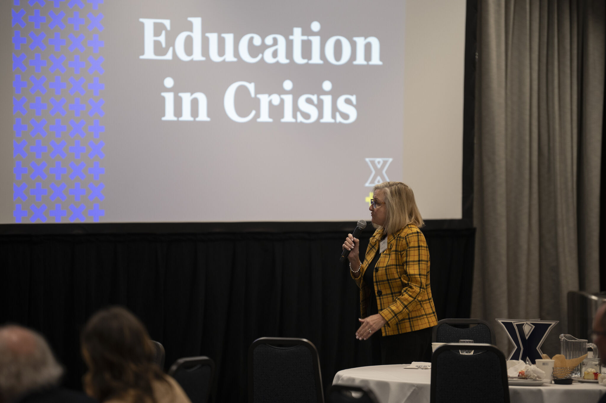 Education in Crisis 2