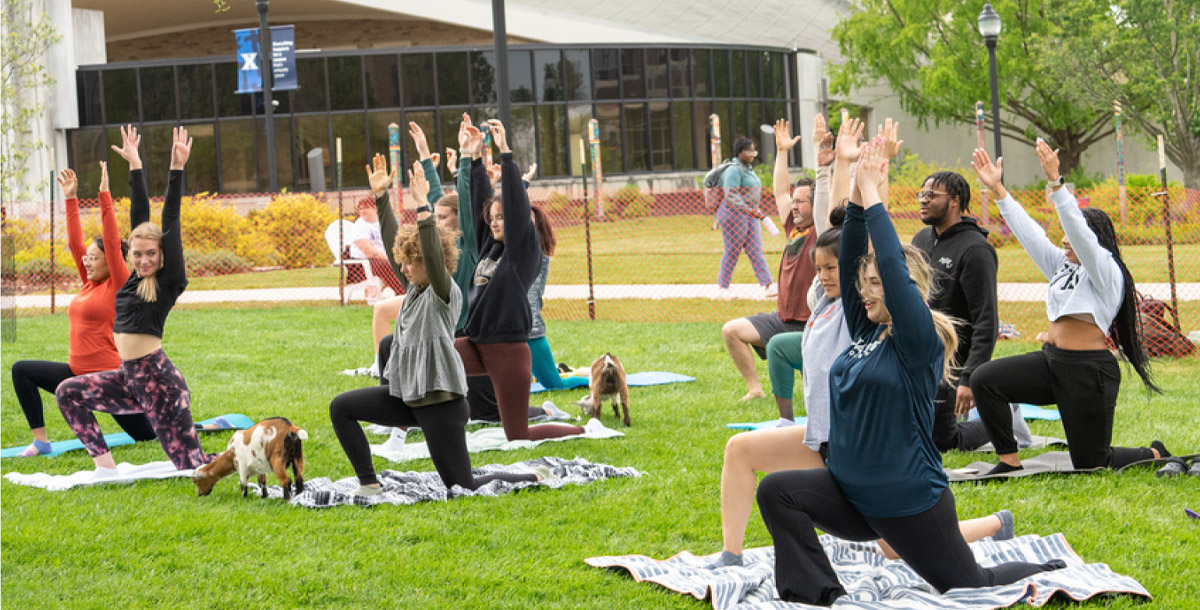 Students doing yoga on the yard 